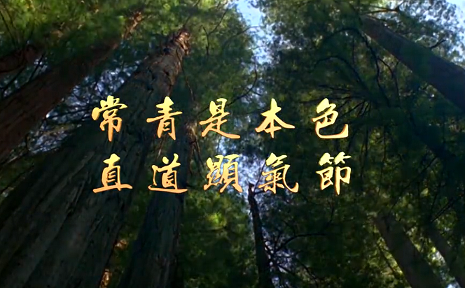 【廉水流深】常青是本色 直道顯氣節(jié)