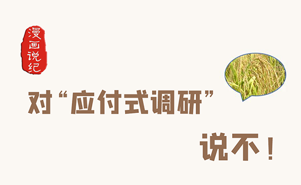 漫畫說紀｜對“應付式調研”說不