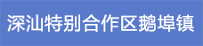 19.深汕特別合作區(qū)鵝埠鎮(zhèn).png