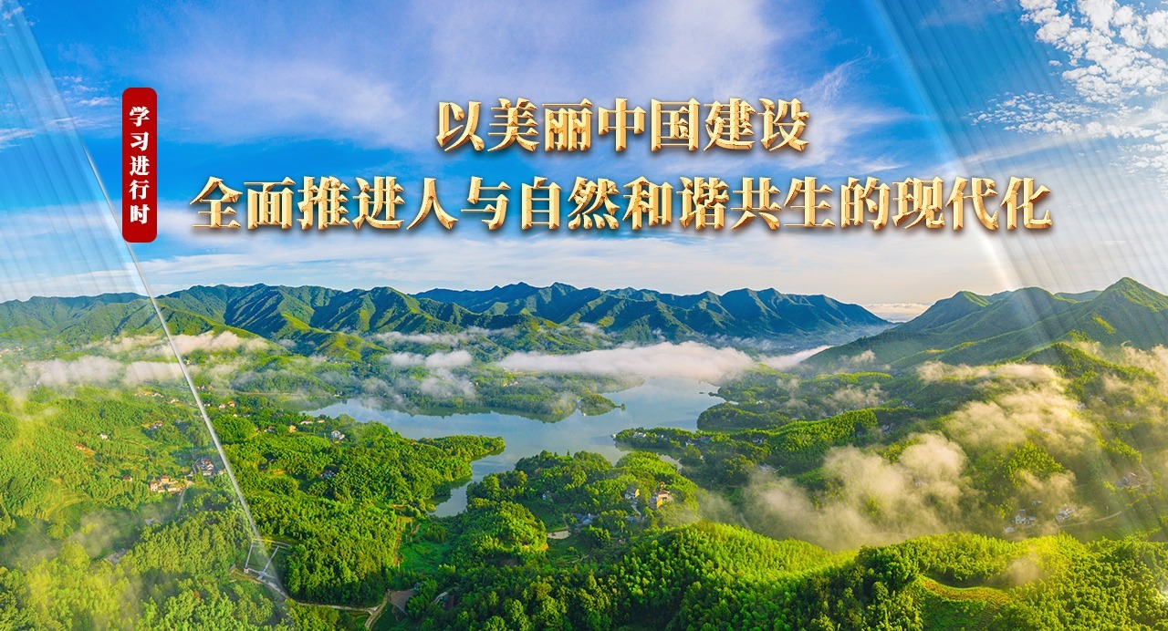學習進行時丨以美麗中國建設全面推進人與自然和諧共生的現代化