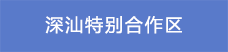 16深汕特別合作區(qū).png