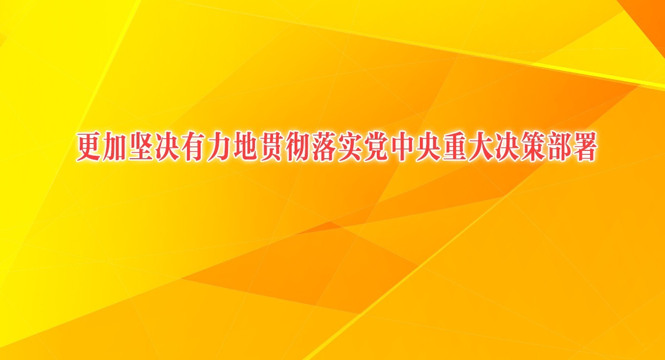 以更高標(biāo)準(zhǔn)、更實(shí)舉措推進(jìn)全面從嚴(yán)治黨之一 更加堅(jiān)決有力地貫徹落實(shí)黨中央重大決策部署