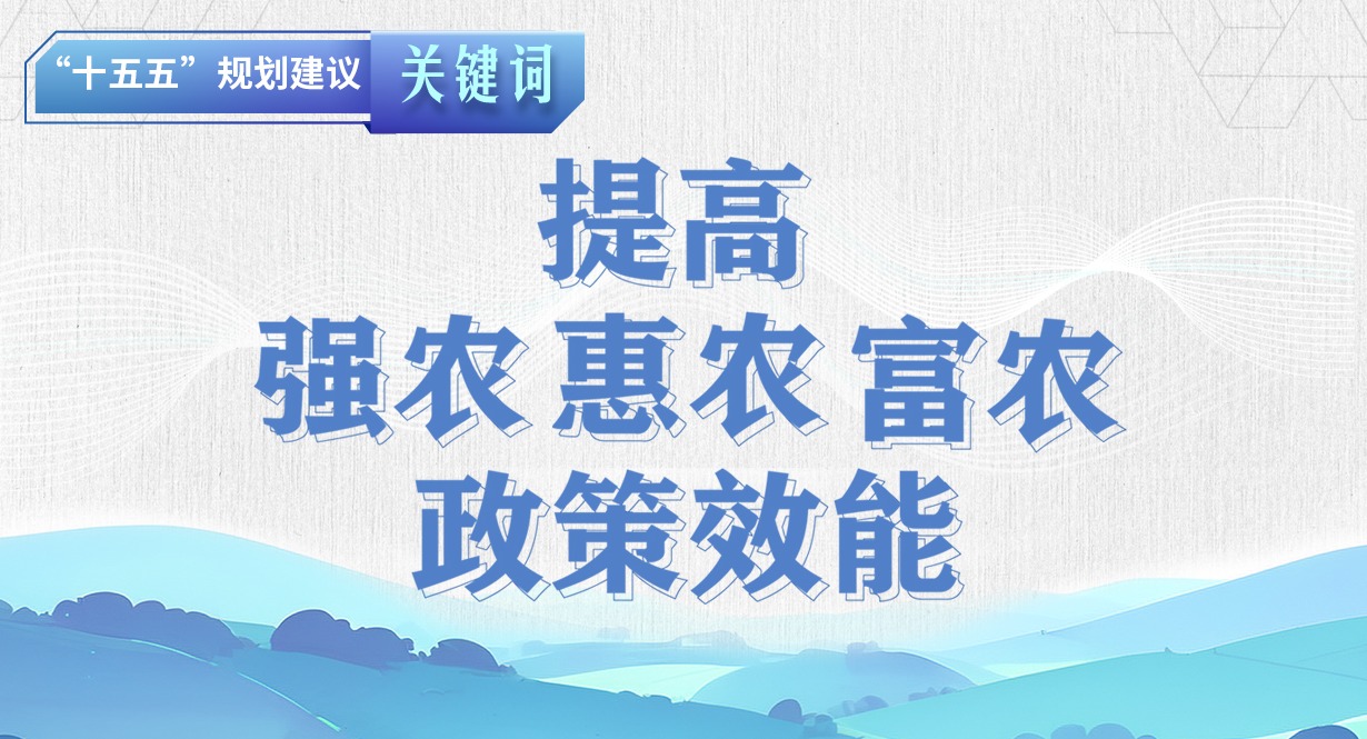 “十五五”規劃建議關鍵詞丨提高強農惠農富農政策效能