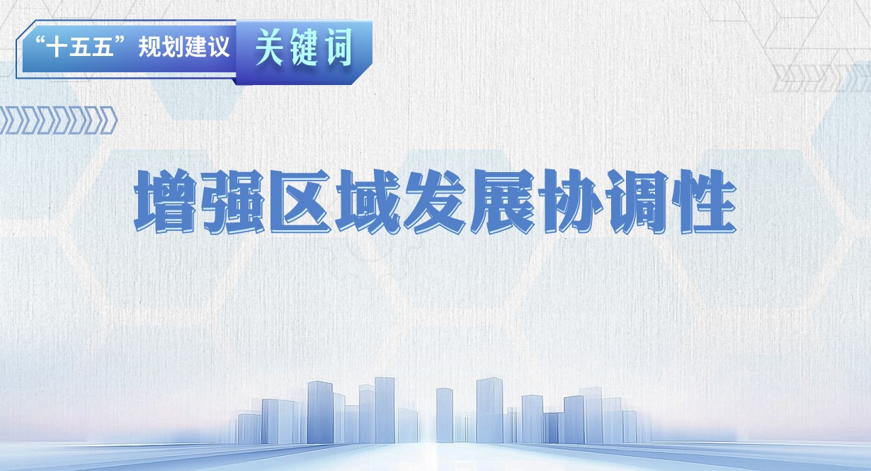 “十五五”規劃建議關鍵詞丨增強區域發展協調性