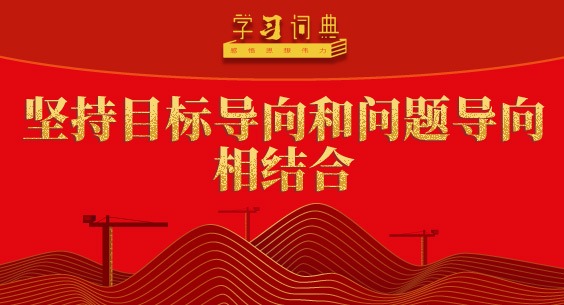 學(xué)習(xí)詞典?樹立和踐行正確政績(jī)觀丨堅(jiān)持目標(biāo)導(dǎo)向和問題導(dǎo)向相結(jié)合
