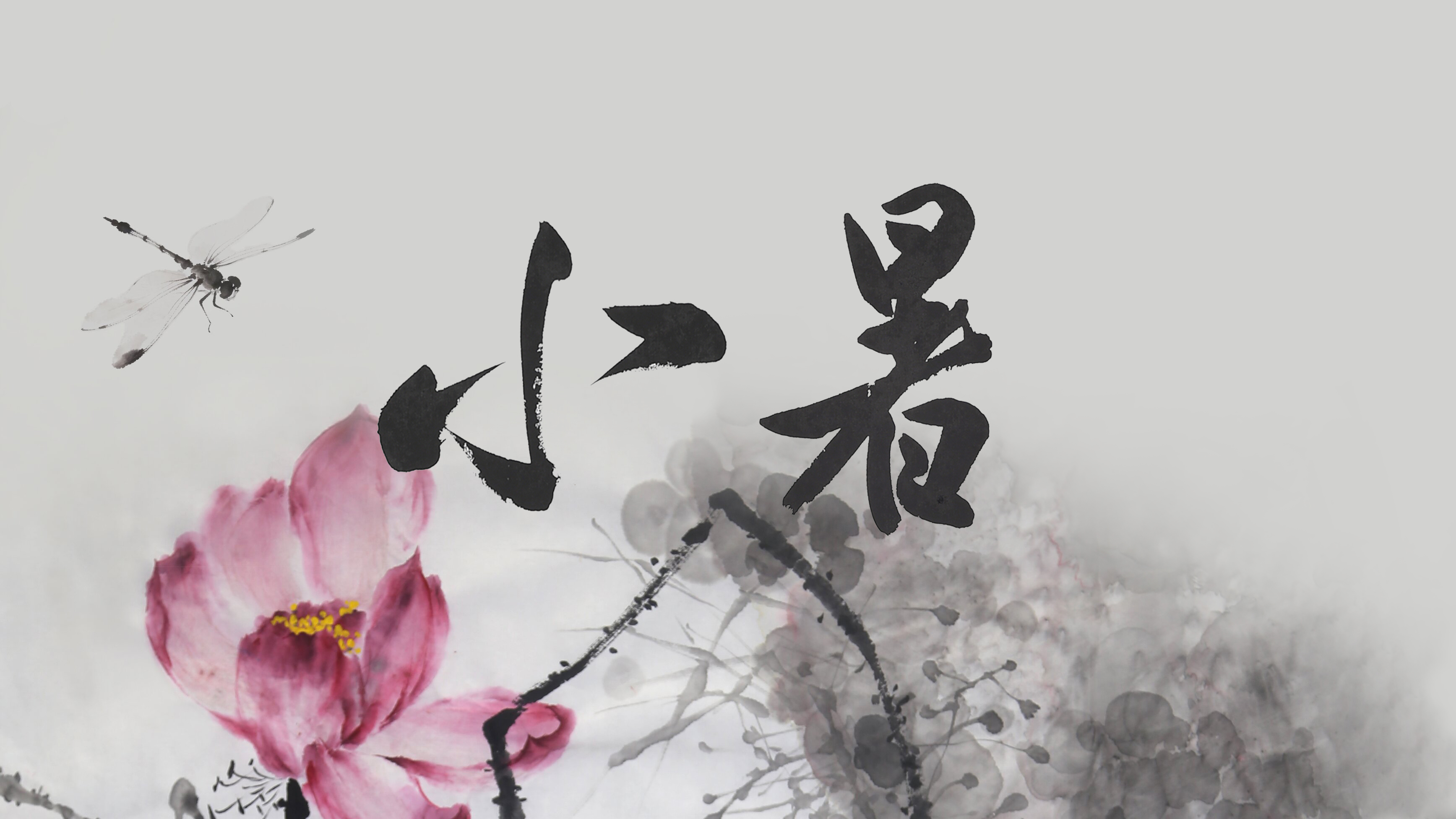 節(jié)氣話廉丨小暑：荷風(fēng)滌暑，清風(fēng)守廉